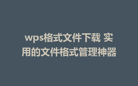 wps格式文件下载 实用的<a href=