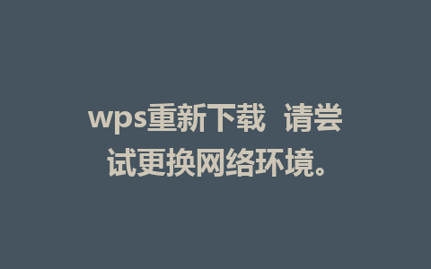 wps重新下载  请尝试更换网络环境。

