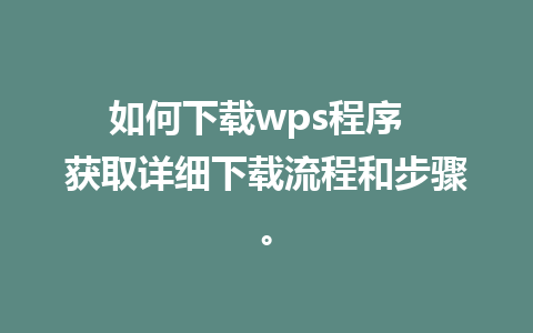 如何下载wps程序  获取详细下载流程和步骤。