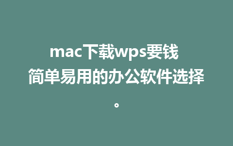 mac下载wps要钱 简单易用的办公软件选择。