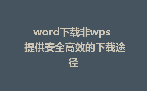 word下载非wps  提供安全高效的下载途径