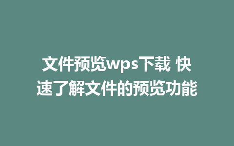 文件预览wps下载 快速了解文件的预览功能